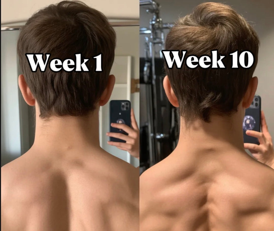 Pinnacle Strength Neck Harness